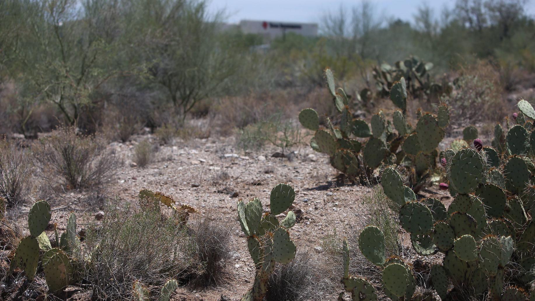 Texas Instruments to build $29M facility in Tucson, add 35 high-paying jobs